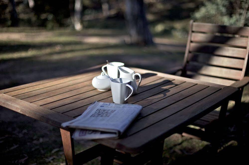 Snowy Wilderness Villa Ingebyra Luaran gambar